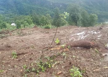 पर्वतमा पहिरोले पुरिएर पाँचजनाको मृत्यु, चारजना बेपत्ता