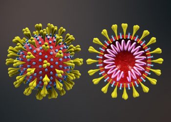 New species of corona virus has entered Nepal