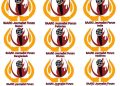 SAARC Journalists Forum SJF had launched the logo of all SAARC countries