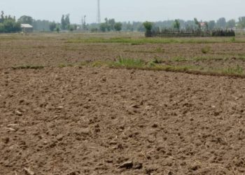 Water scarcity hits Anantnag farmers, facing acute water Shortage