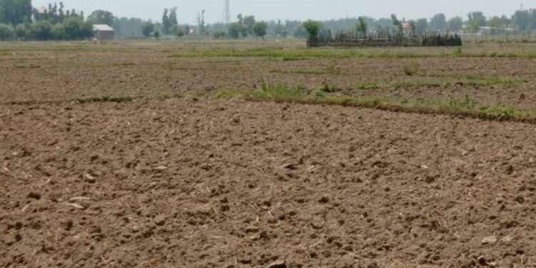 Water scarcity hits Anantnag farmers, facing acute water Shortage